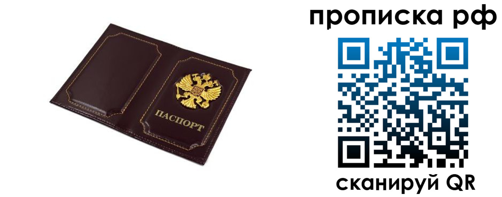 прописка для школы в Ногинске